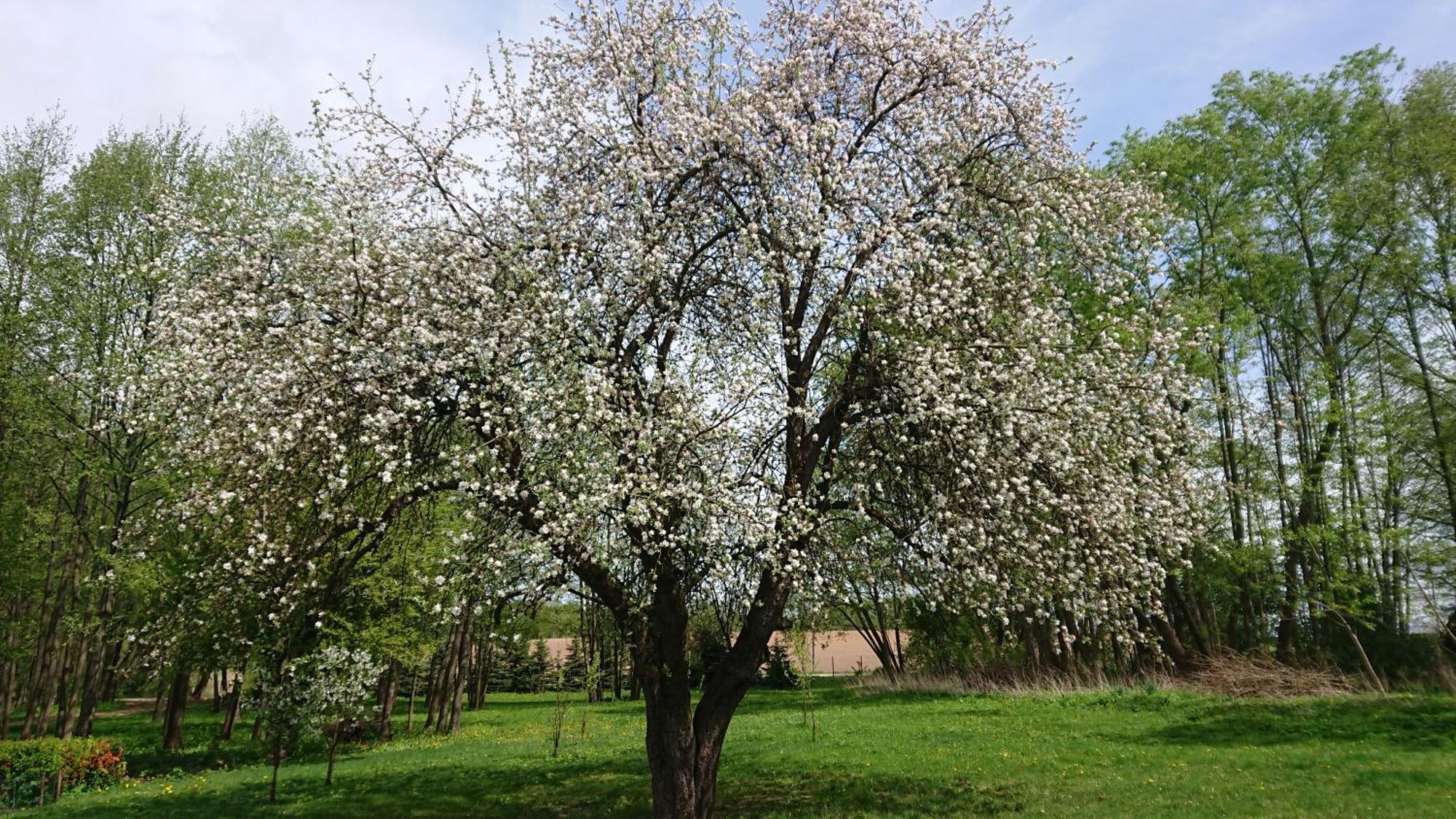 Willa Bobrowa Dolina Wojtostwo  Экстерьер фото