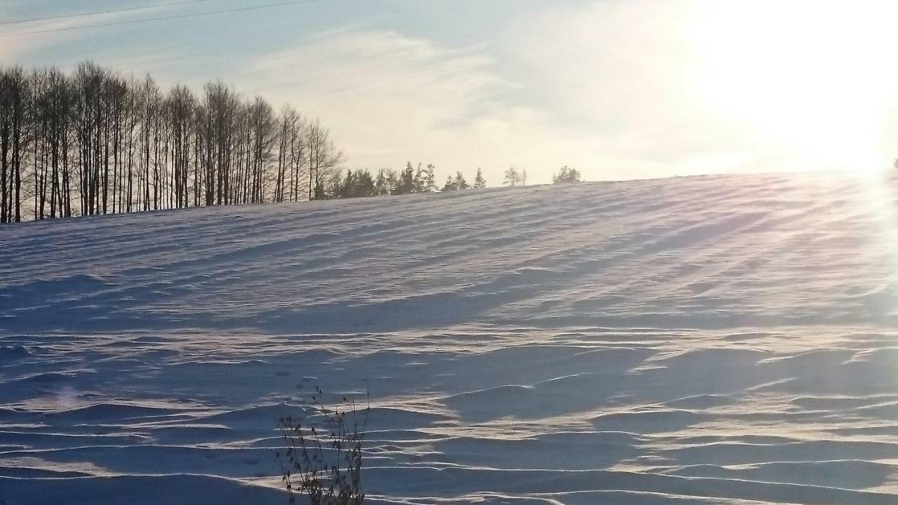 Willa Bobrowa Dolina Wojtostwo  Экстерьер фото